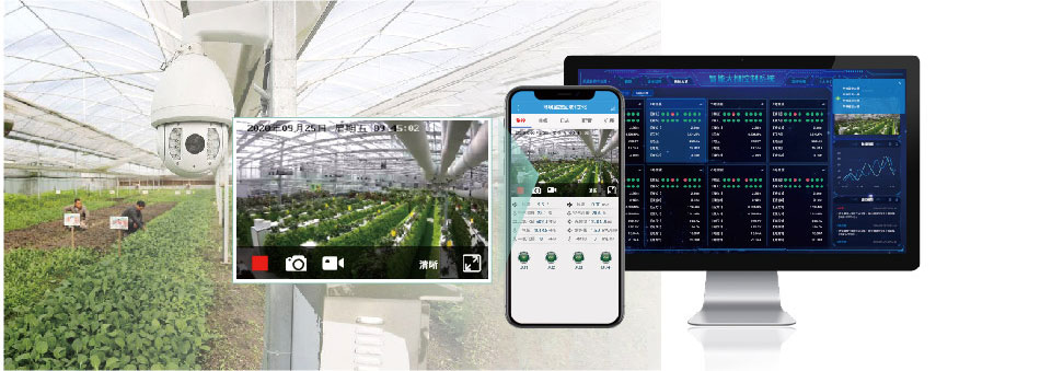 溫室大棚智能控制系統(tǒng)視頻監(jiān)控功能