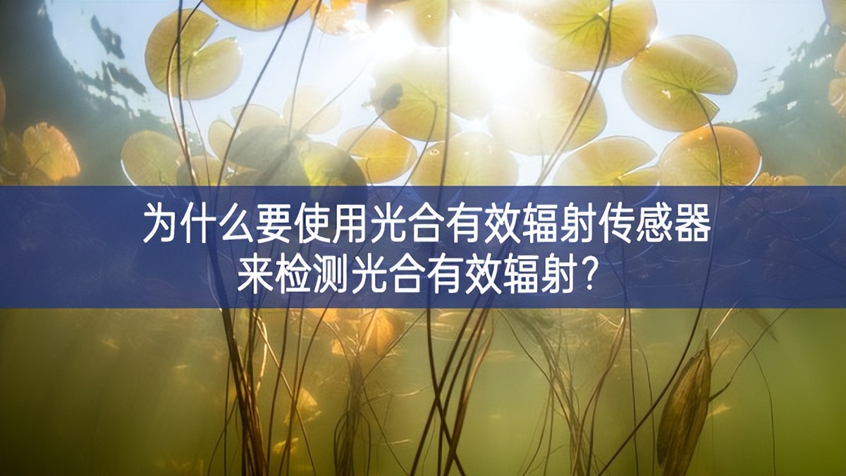 為什么要使用光合有效輻射傳感器來(lái)檢測(cè)光合有效輻射？