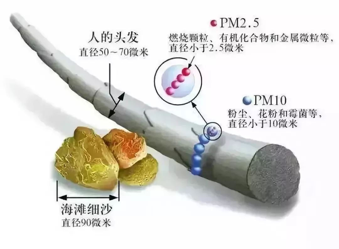 PM2.5 與 PM 10的區(qū)別