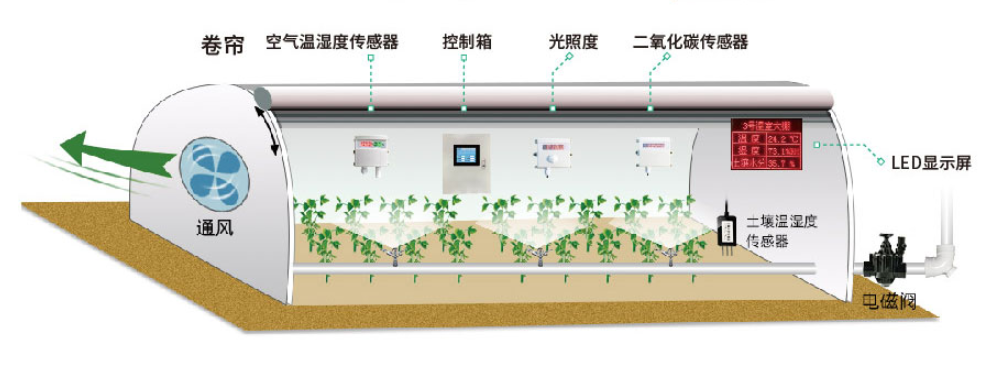 溫濕度傳感器在智能溫室大棚